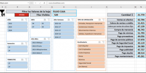 Flujo de Caja con una Herramienta Personalizada en Excel